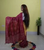 Saree (Silk) - Image 4