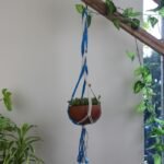 Plant Hanger