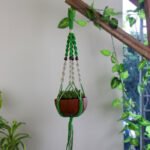 Plant Hanger
