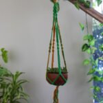 Plant Hanger
