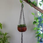 Plant Hanger