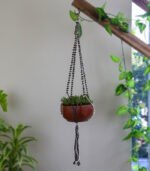 Plant Hanger