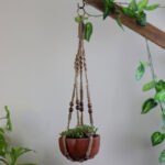 Plant Hanger