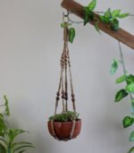 Plant Hanger