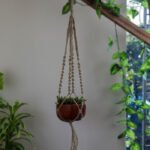 Plant Hanger