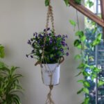Plant Hanger