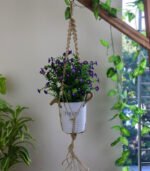 Plant Hanger
