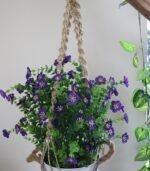 Plant Hanger - Image 3