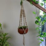 Plant Hanger