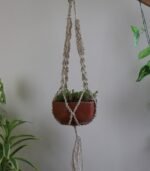 Plant Hanger - Image 3