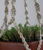 Plant Hanger - Image 5
