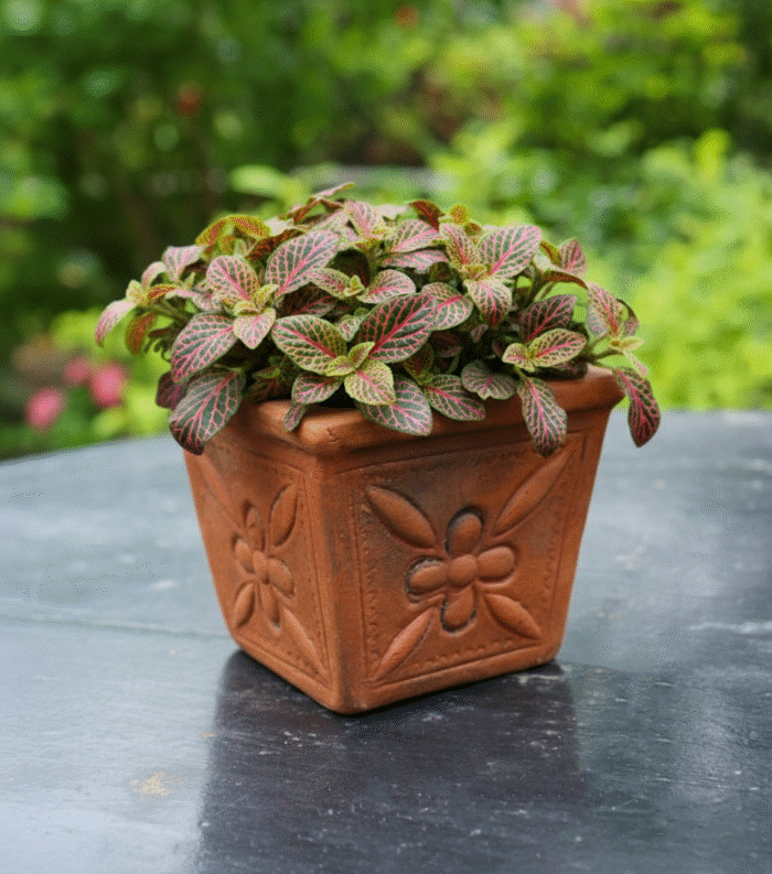 Flower Tub (Mini) - Image 1
