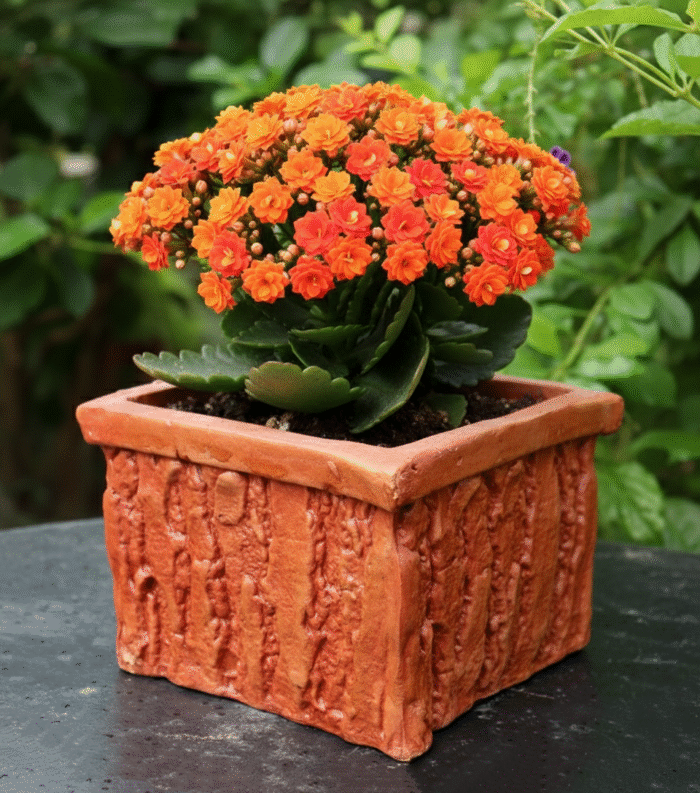 Flower Tub (Medium) - Image 1