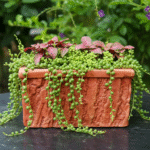 Flower Tub (Medium)