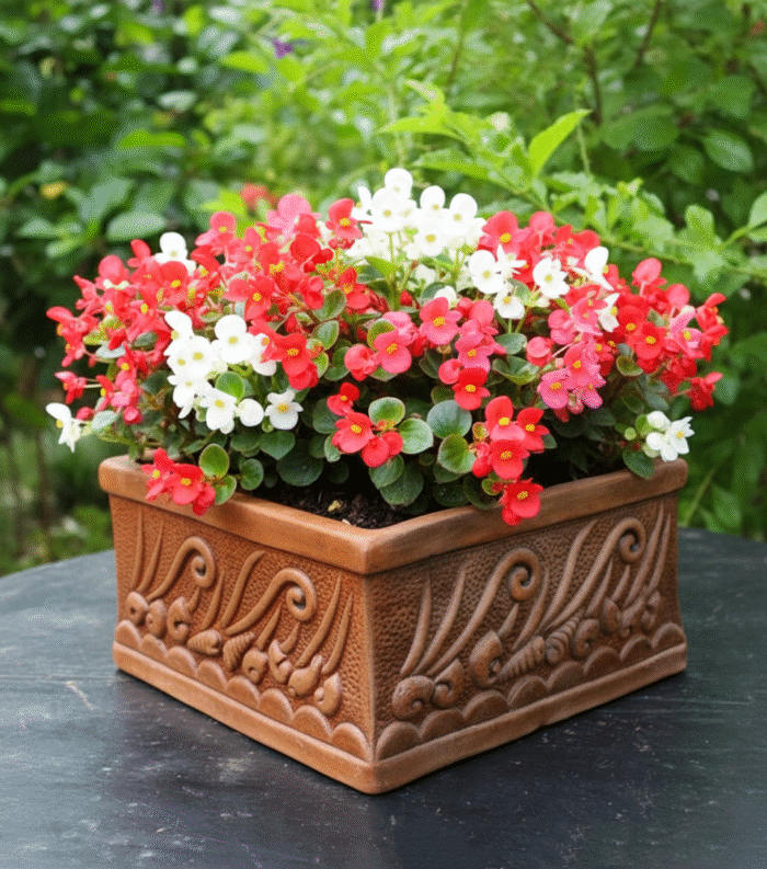 Flower Tub (Medium) - Image 1